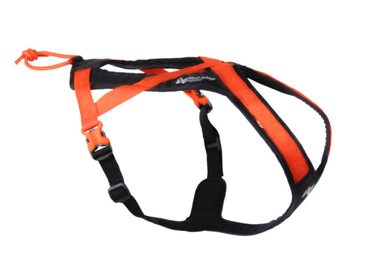 Non-stop Rush harness