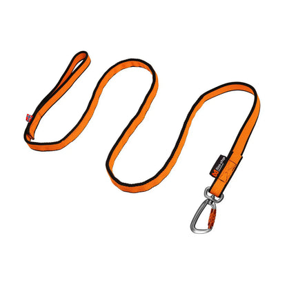 Bungee leash