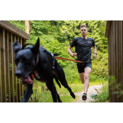 Bungee leash