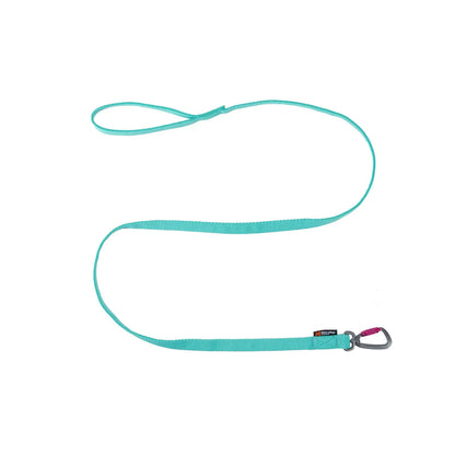Bungee leash
