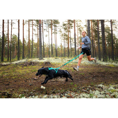 Bungee leash