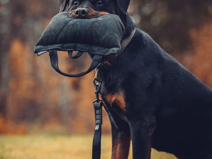 Non-stop Security strap WD