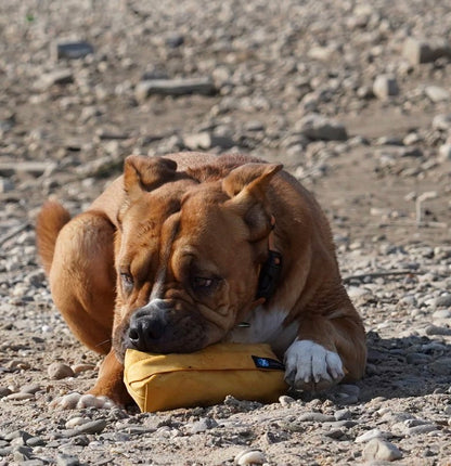 Anny-x Futterbeutel Goldglöckchen