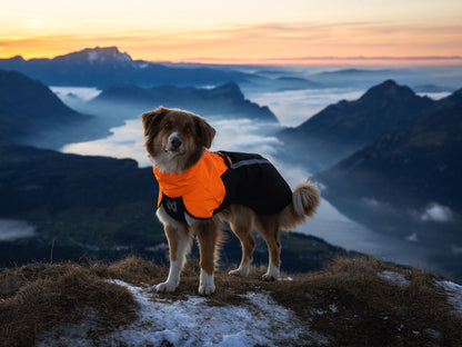 Non-stop Fjord Raincoat 2.0
