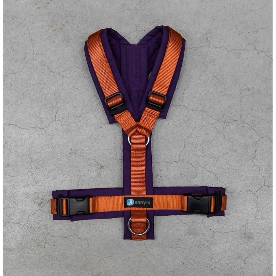 Anny-x Brustgeschirr Fun, Limited