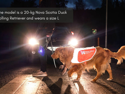 Non-stop Reflection Blanket