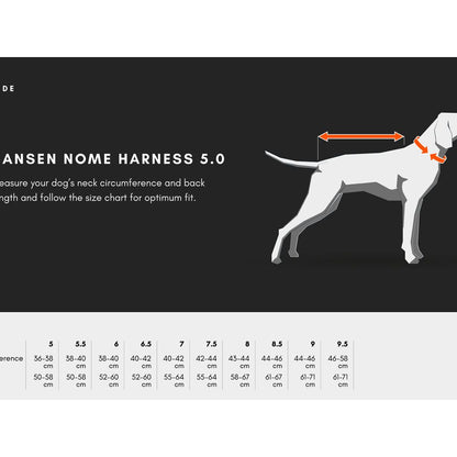Non-stop Nansen nome harness 5.0