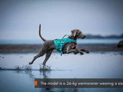 Non-stop Protector life jacket