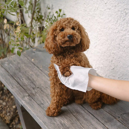 LILA LOVES IT Lavettes/Waschhandschuhe