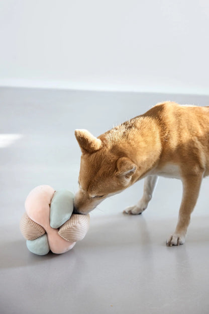 Palopa Hundespielzeug