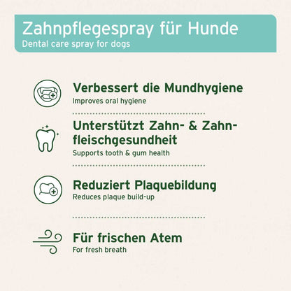 Aniforte Denta Clean & Care Dentalspray