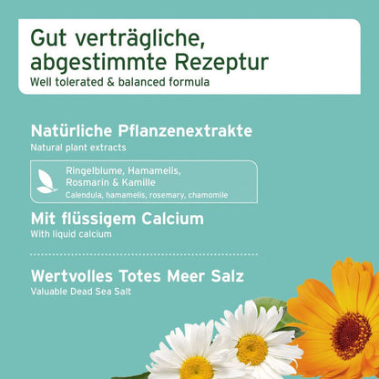 Aniforte Denta Clean & Care Dentalspray