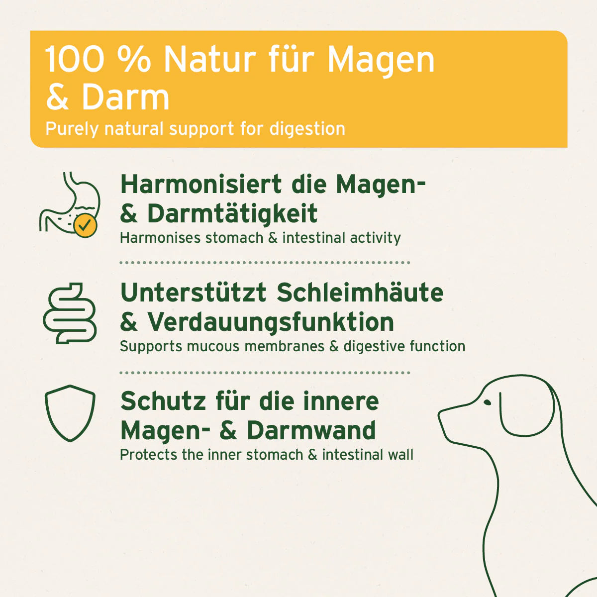 Aniforte Ulmenrinde Pulver