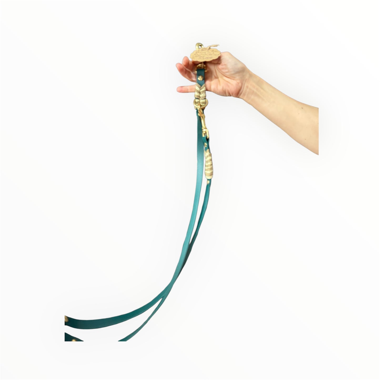 Leine Biothane mit Parachute Cord