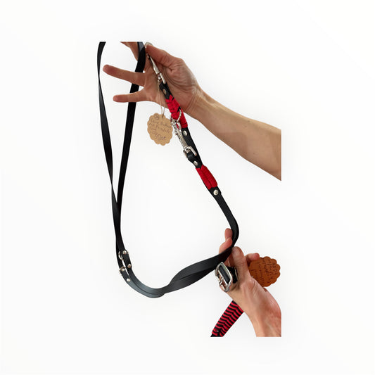Leine Biothane mit Parachute Cord