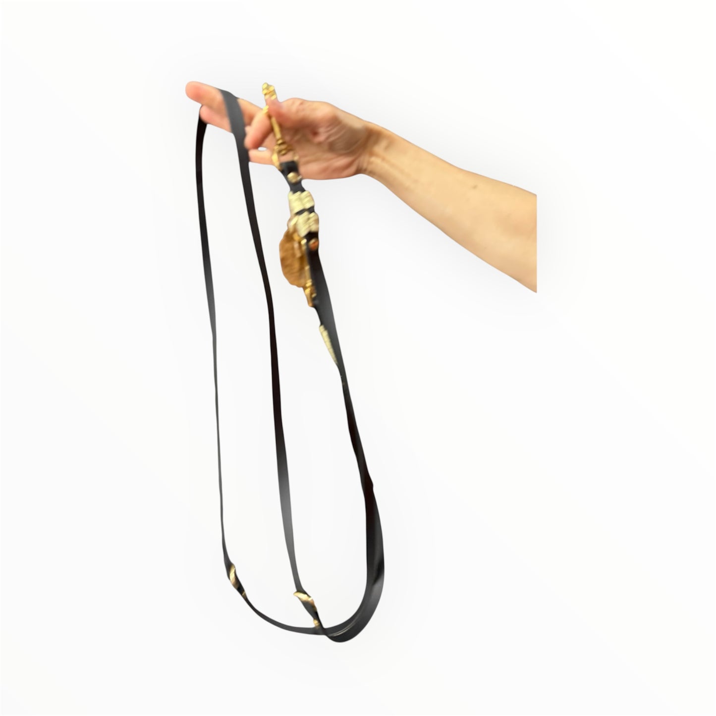 Leine Biothane mit Parachute Cord
