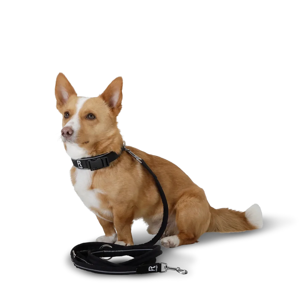 Redoggo Leine