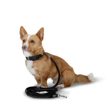 Redoggo Leine