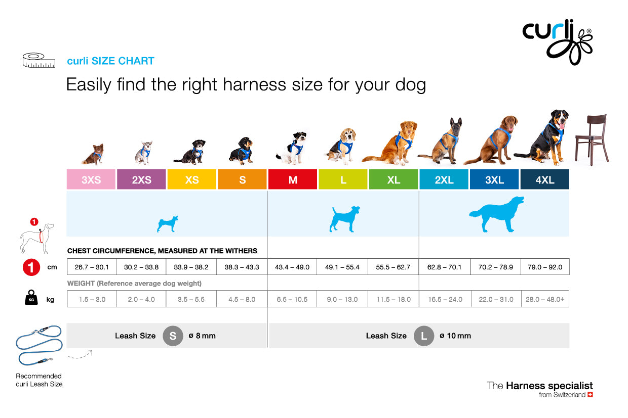 Curzi GLOW CLASP VEST HARNESS REFLECTIVE